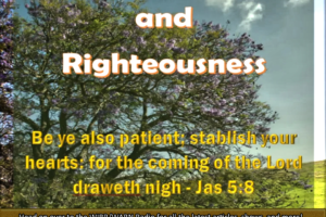 Patient Endurance and Righteousness article image