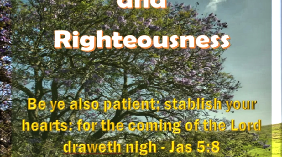 Patient Endurance and Righteousness article image