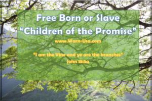 Children of God fulfilled Promise article image