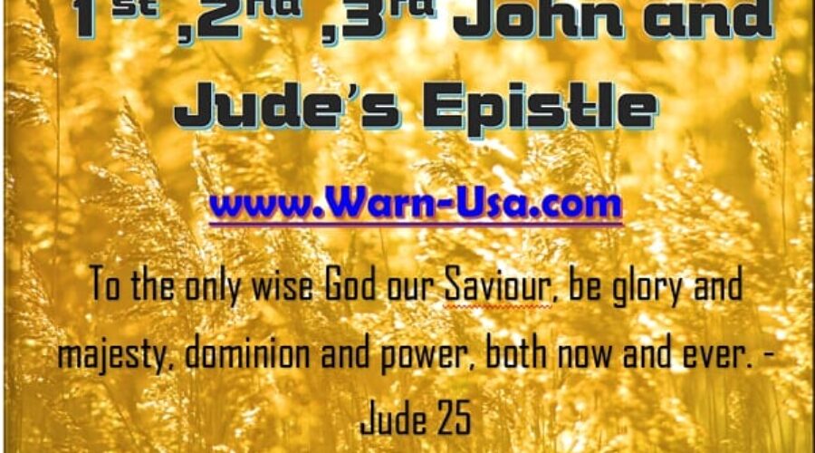 Christian Life Series of Johns & Jude's Epistles article image