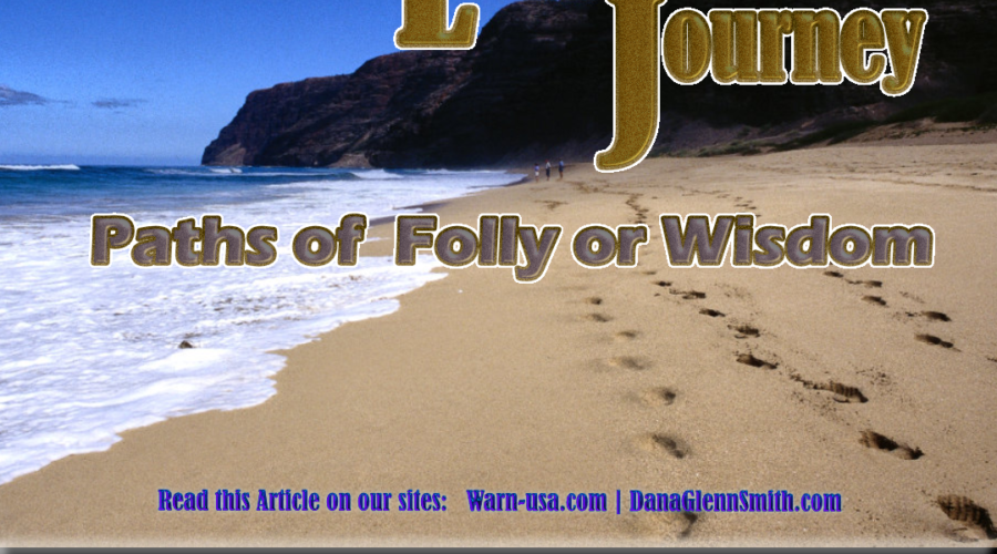Life Journey Paths Folly or Wisdom article image