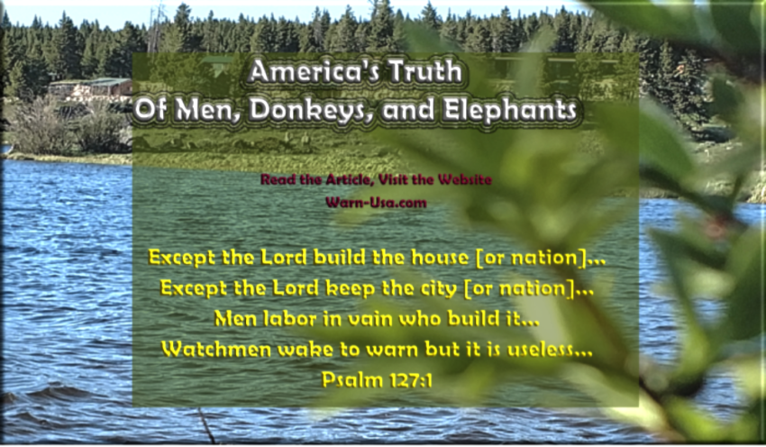 American Truth of Men, Donkeys, and Elephants article image