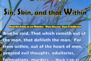 DECEIVED SIN SKIN AND THAT WITHIN article image