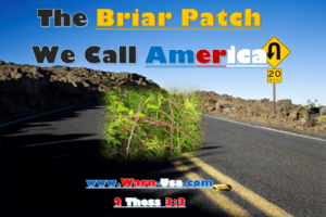 The Brier Patch We Call America article image