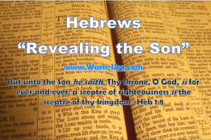 Book of Hebrews Son of God Blood of the Testament Pt14 on Sound the Shofar article image