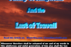 Vanity of Kingdoms and the Lust of Travail article image