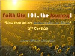 Faith Life Journey article image