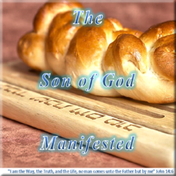 Son of God Manifested article image