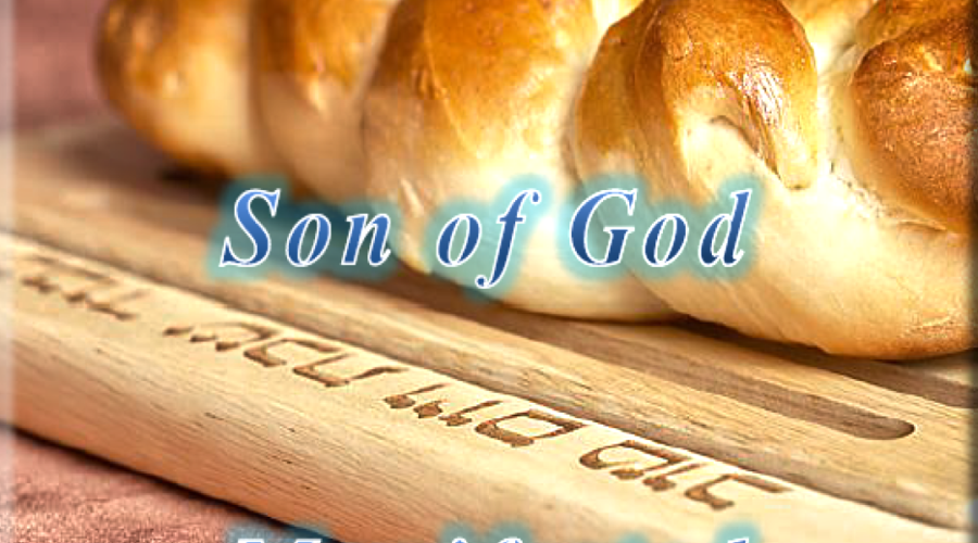 Son of God Manifested article image