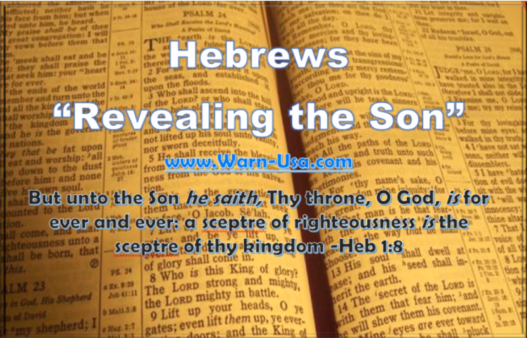 Book of Hebrews Son of God Chastisement Pt22 on Sound the Shofar article image