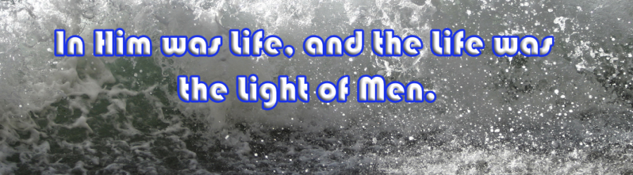 The WORD, Light, and Life article image