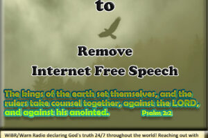 Globalist Maneuver to Remove Internet Free Speech article image