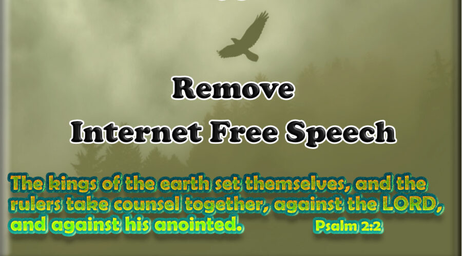 Globalist Maneuver to Remove Internet Free Speech article image