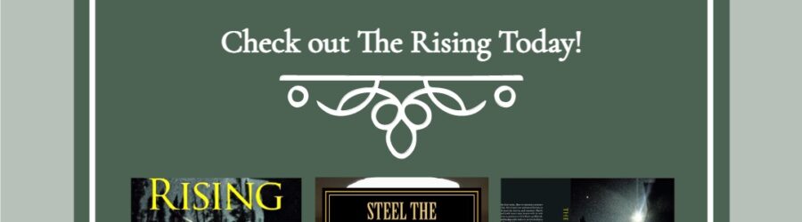 The Rising and Steel the Darkness by Dana Glenn Smith article image