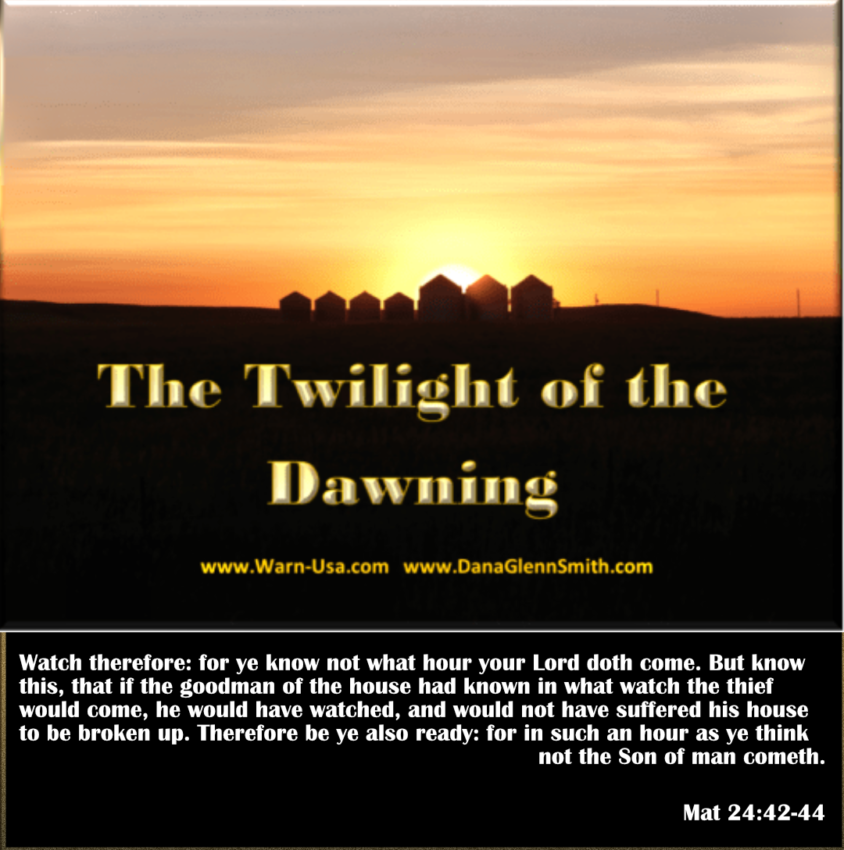 America Twilight of the Dawning article image