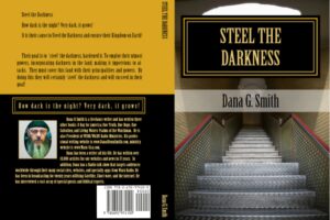 Steel the darkness book image