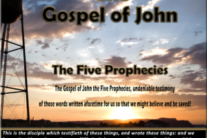 Gospel of John the Five Prophecies article image