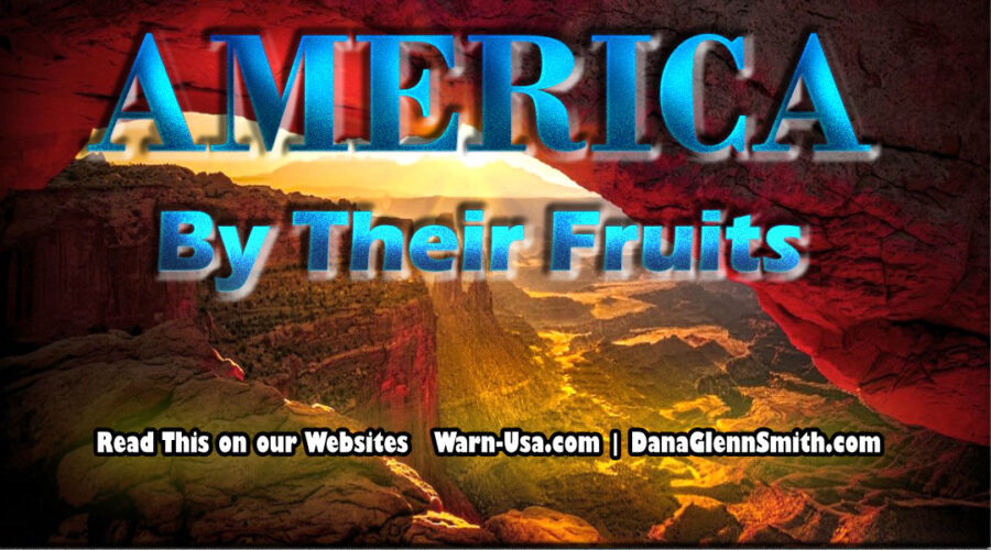 America By Their Fruits article image