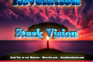Revelation Stark Vision article image