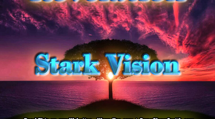 Revelation Stark Vision article image
