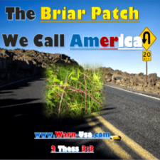 The Brier Patch We Call America article image