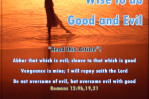 Christian Living Wise to do Good and Evil article image